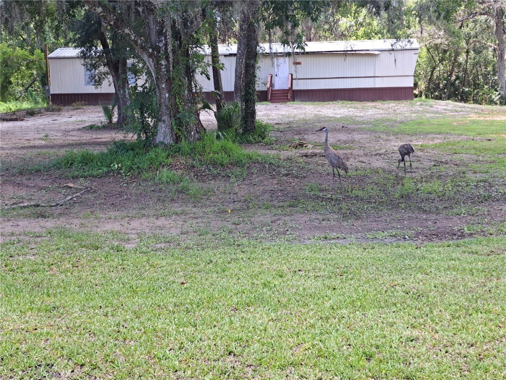 1463 Bobolink Street Zephyrhills FL 33540 TB8339750 image1