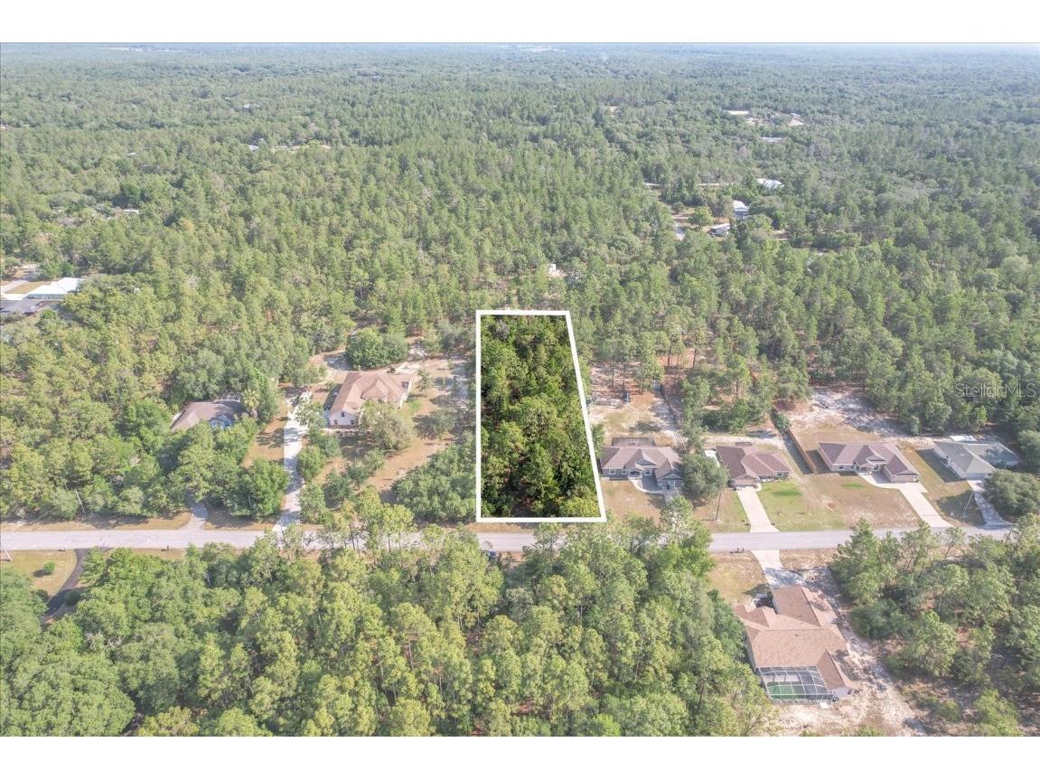 1463 E Cleveland Street Hernando FL 34442 OM678428 image1