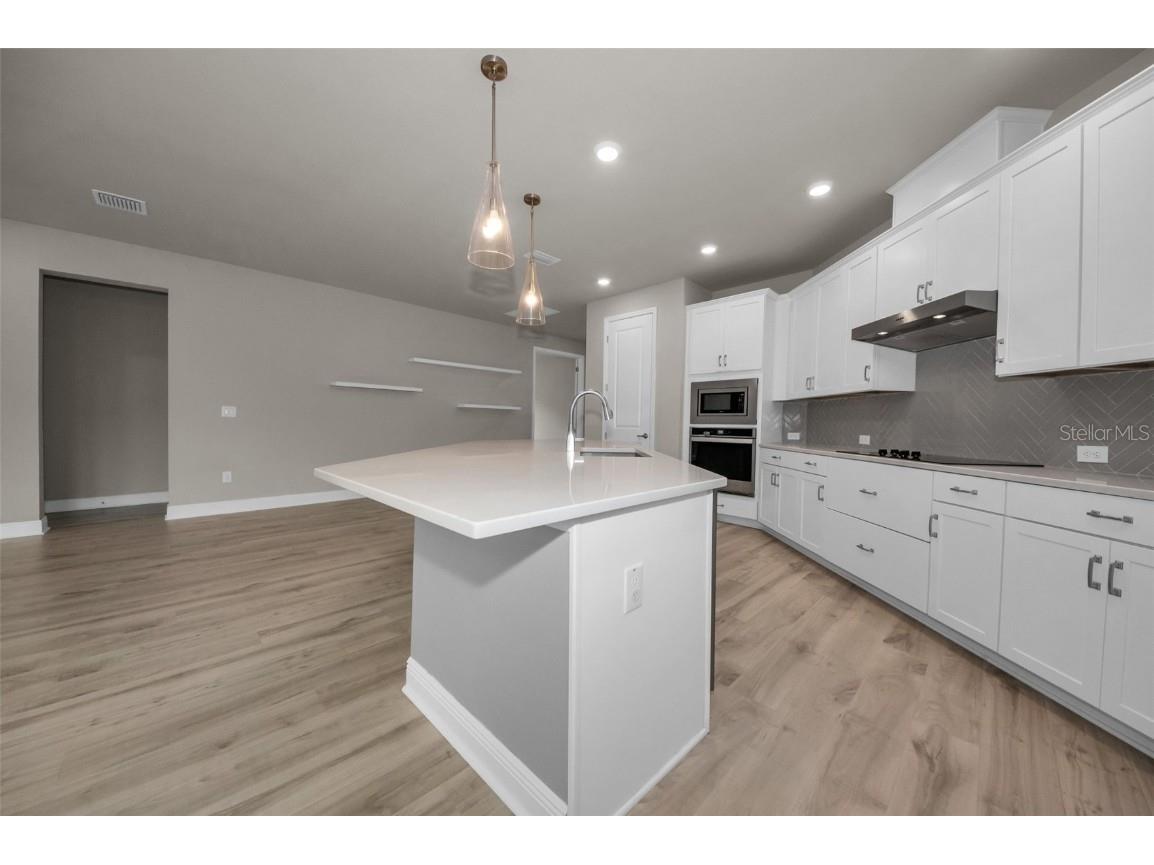 1463 Gopher Loop Tarpon Springs FL 34689 TB8445939 image17