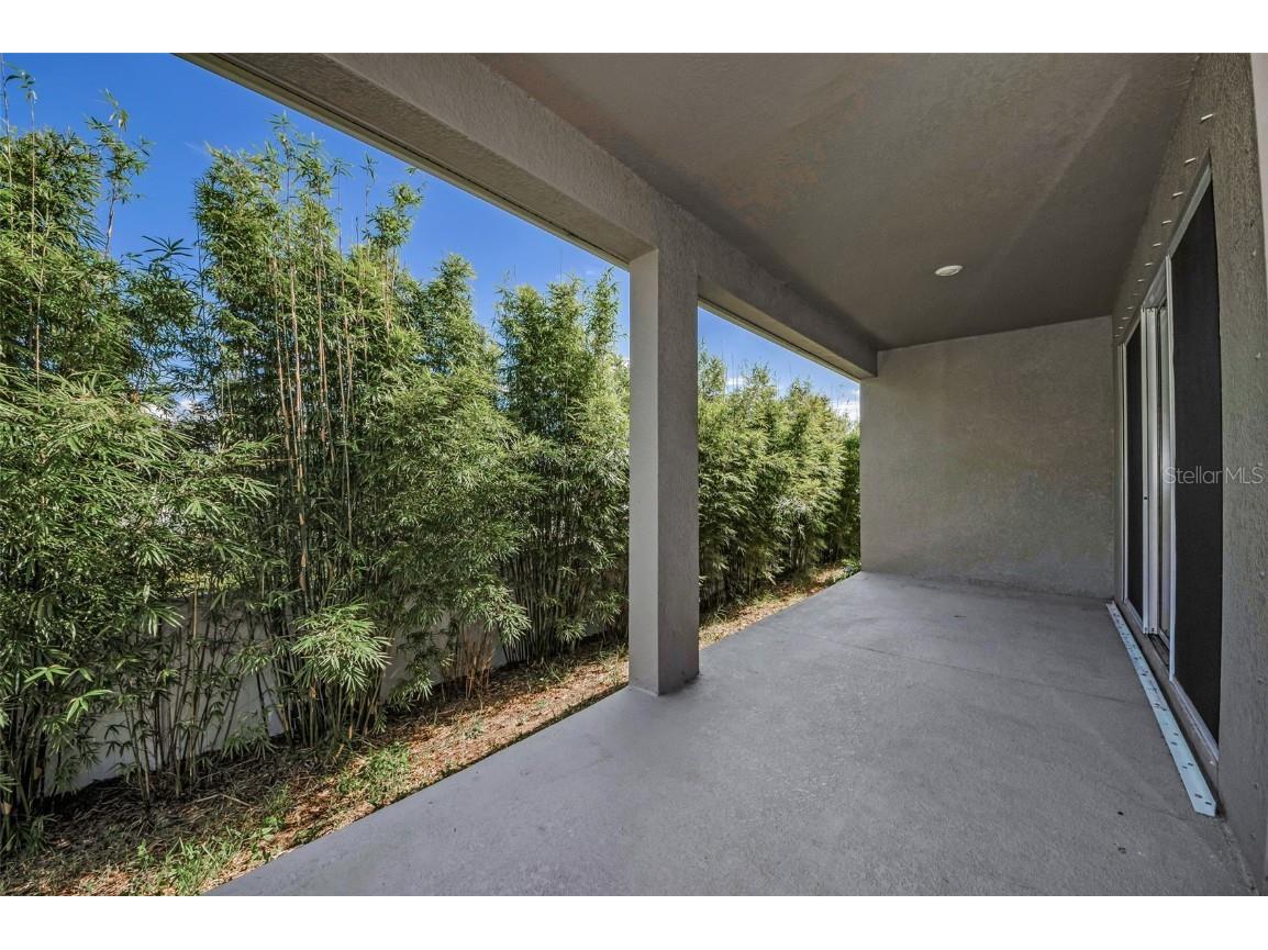 1463 Gopher Loop Tarpon Springs FL 34689 TB8445939 image33