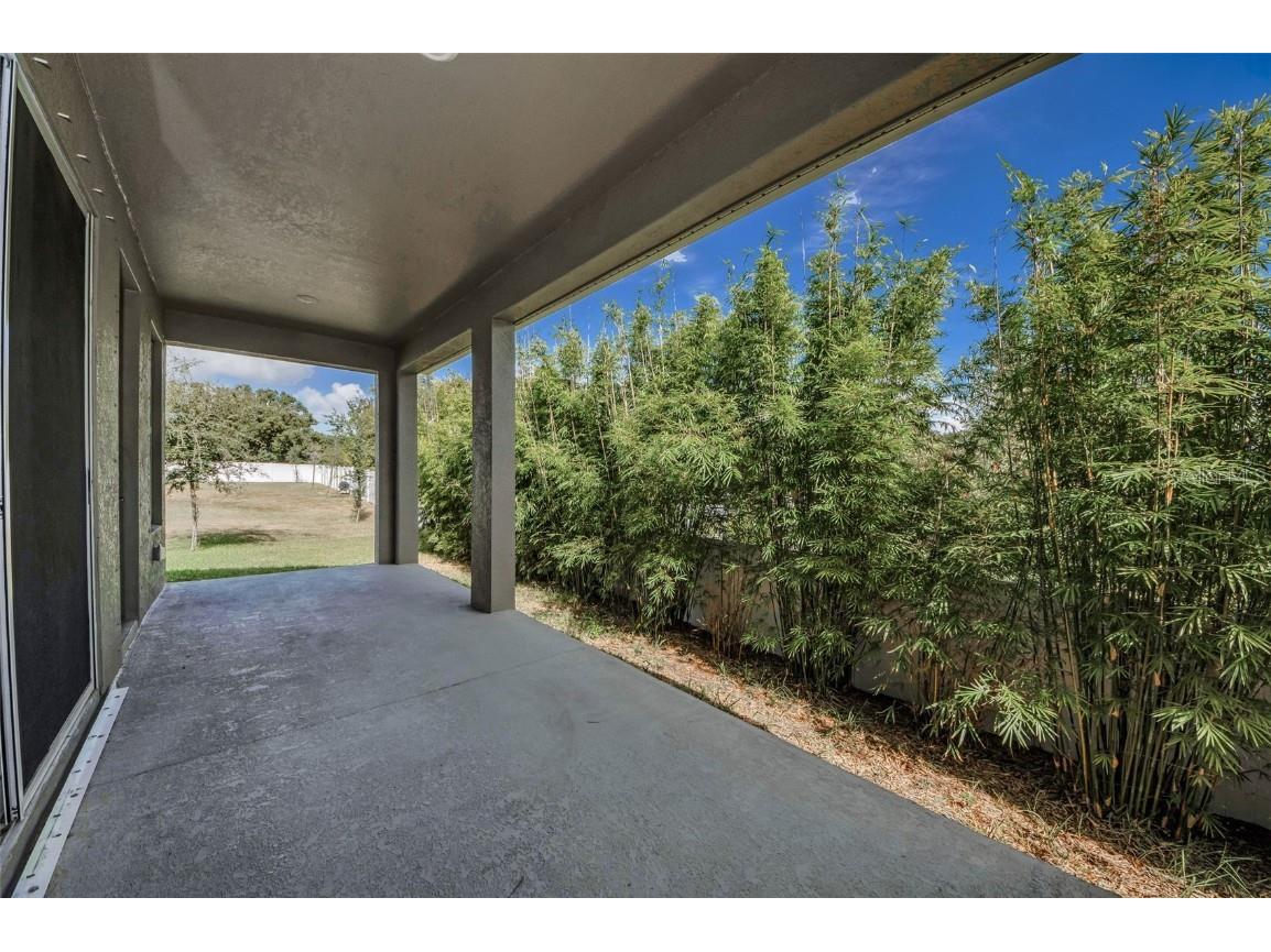 1463 Gopher Loop Tarpon Springs FL 34689 TB8445939 image34