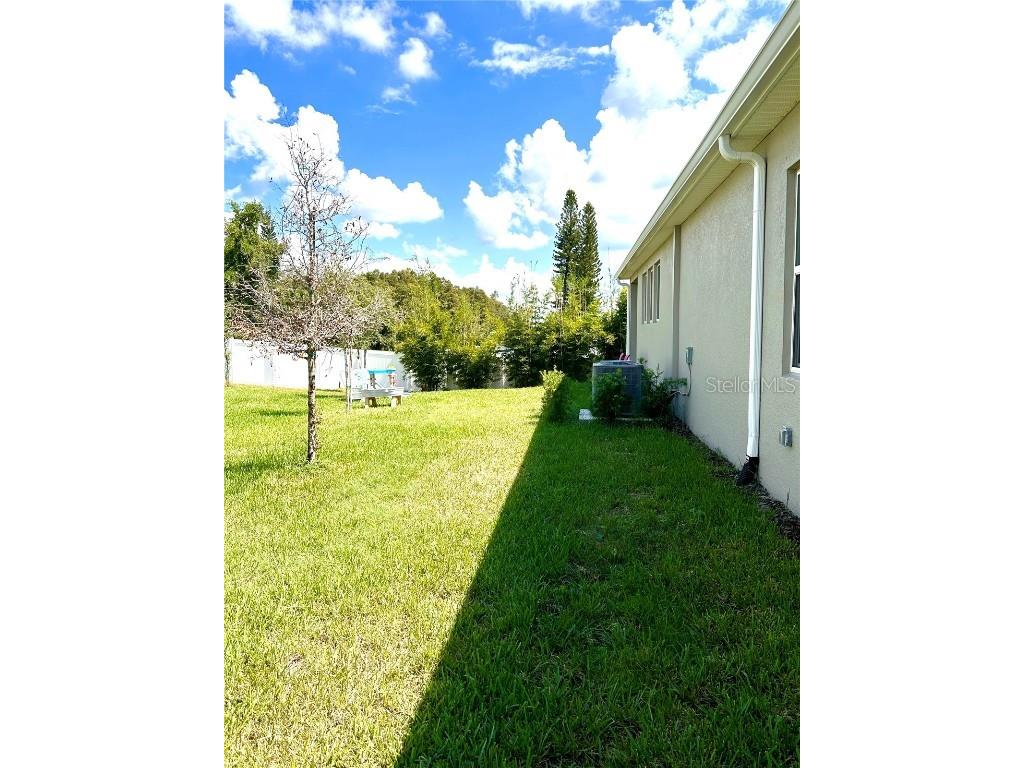 1463 Gopher Loop Tarpon Springs FL 34689 TB8445939 image36