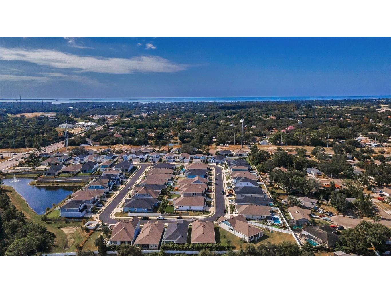 1463 Gopher Loop Tarpon Springs FL 34689 TB8445939 image38