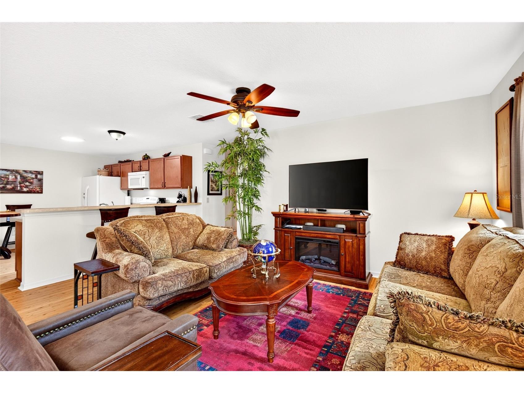 1463 Olympia Street The Villages FL 32163 O6418304 image11