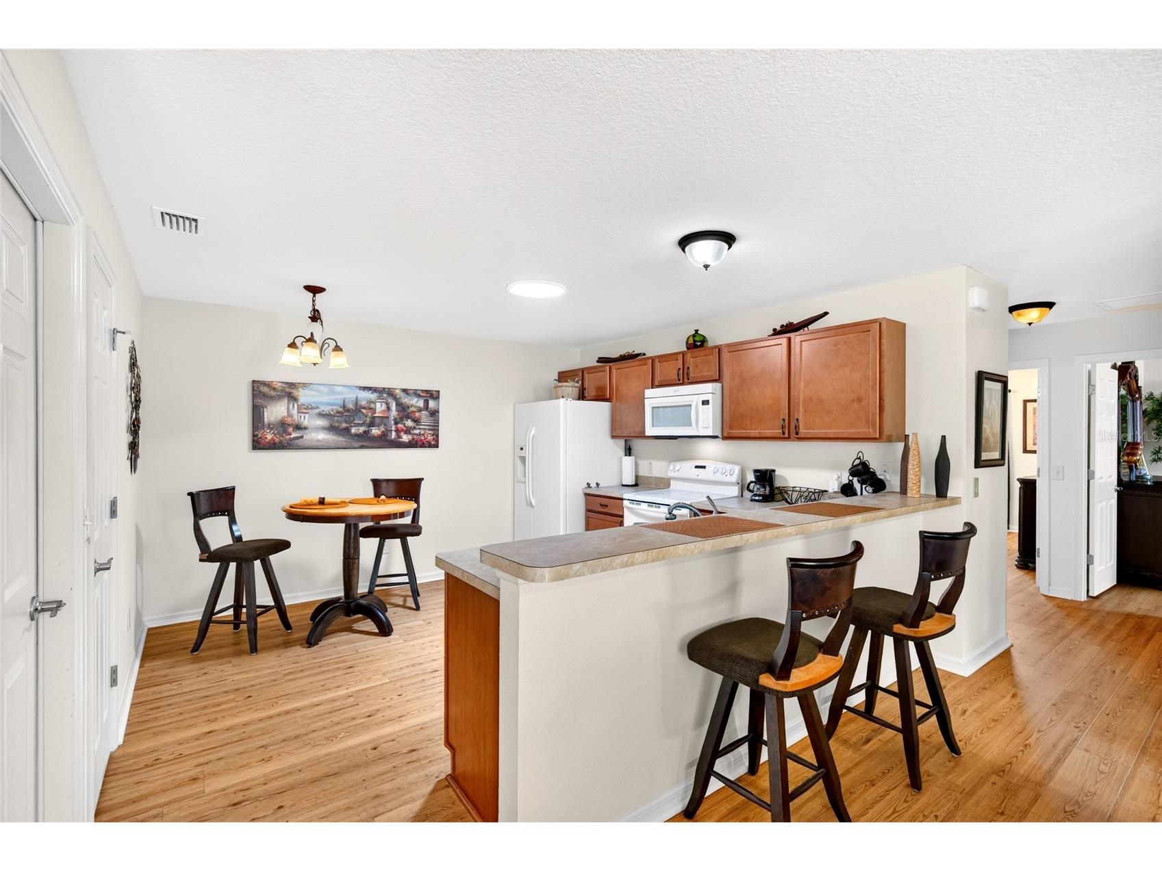 1463 Olympia Street The Villages FL 32163 O6418304 image12