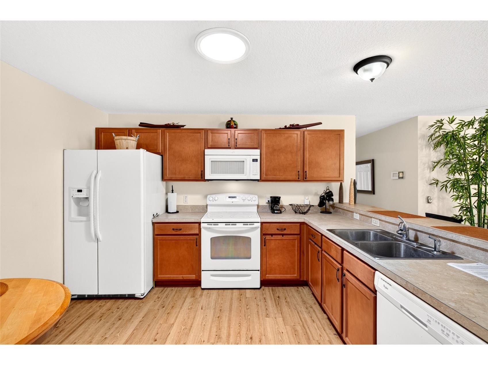 1463 Olympia Street The Villages FL 32163 O6418304 image13