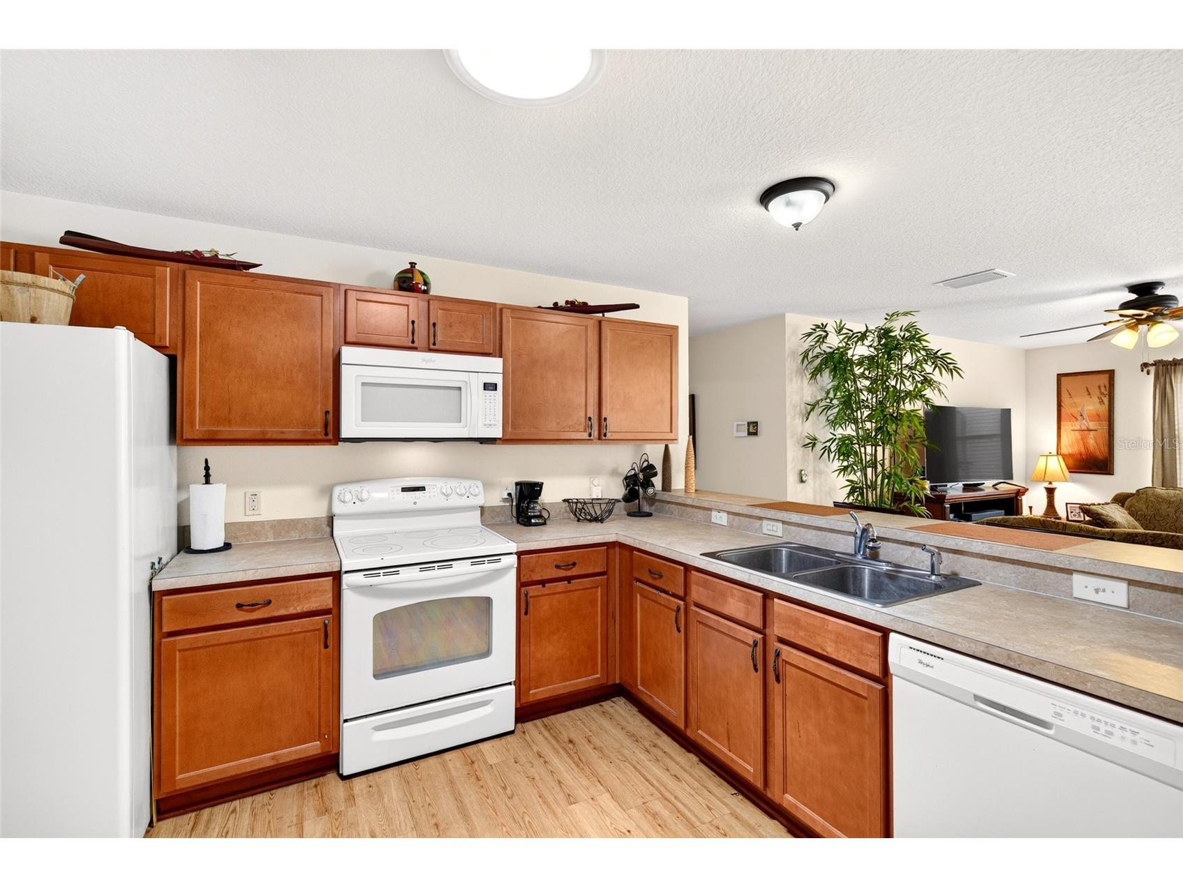 1463 Olympia Street The Villages FL 32163 O6418304 image14