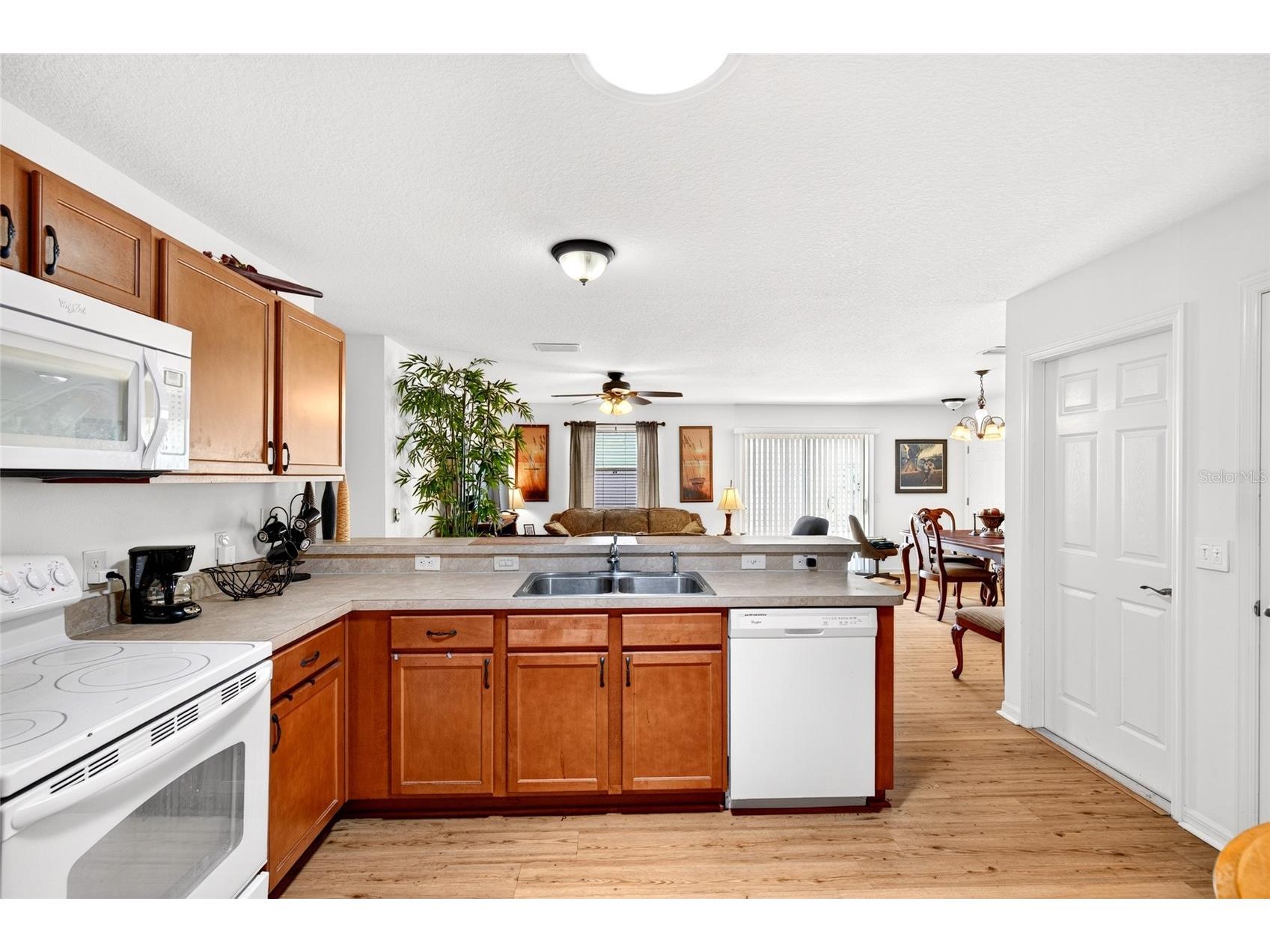 1463 Olympia Street The Villages FL 32163 O6418304 image15