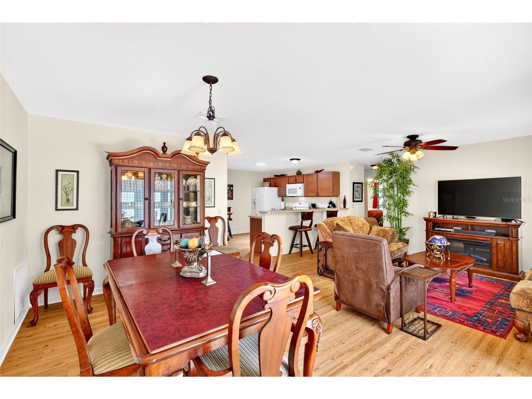 1463 Olympia Street The Villages FL 32163 O6418304 image8