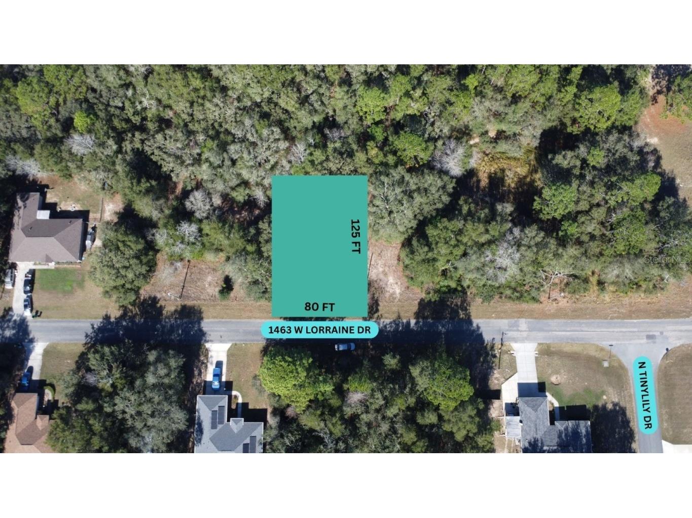 1463 W Lorraine Drive Citrus Springs FL 34434 W7881423 image1