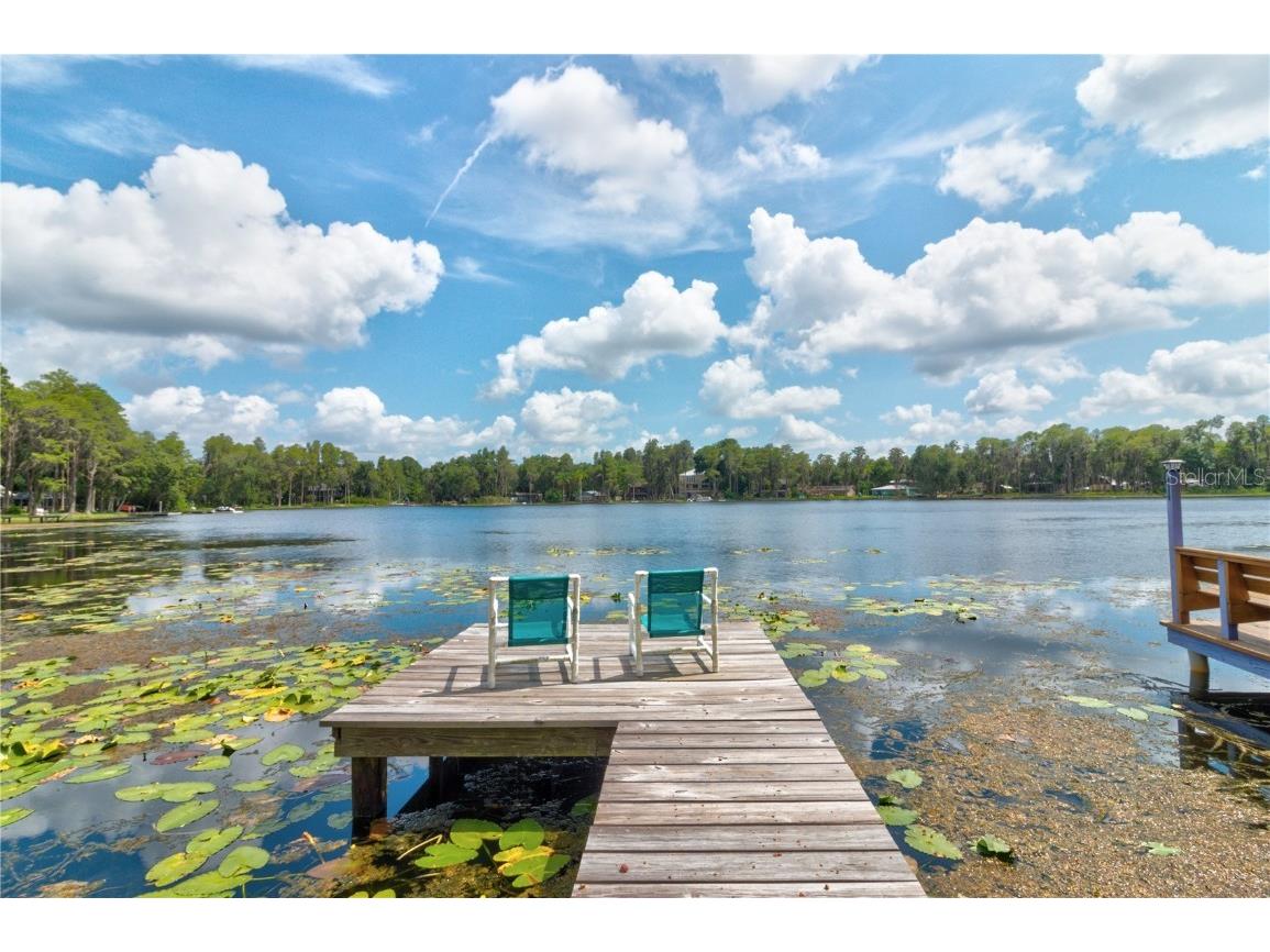 14630 Bluestone Lane Odessa FL 33556 W7836191 image1