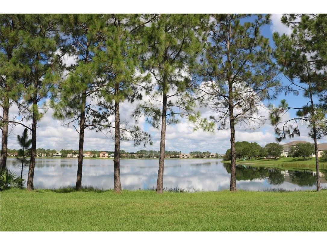 14632 Crosston Bay Court Orlando FL 32824 O6414366 image2