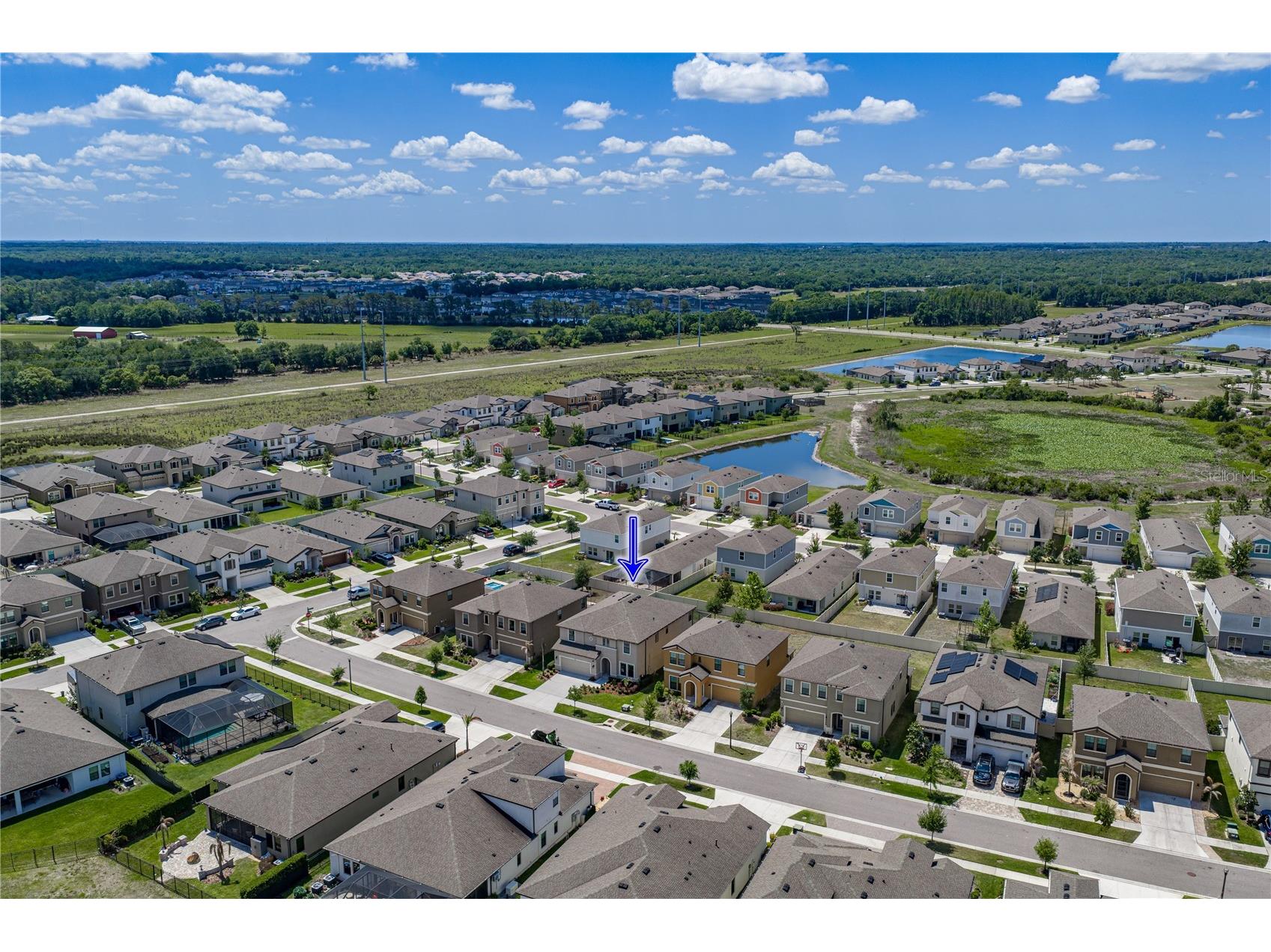 14633 Red Castle Avenue Lithia FL 33547 TB8501977 image86