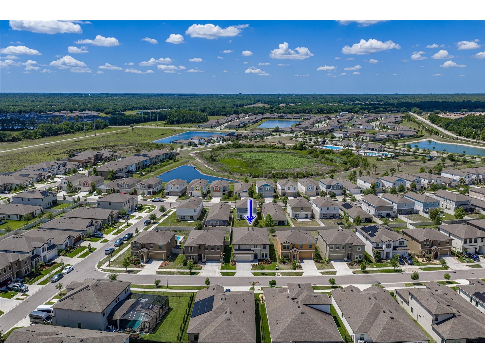 14633 Red Castle Avenue Lithia FL 33547 TB8501977 image87