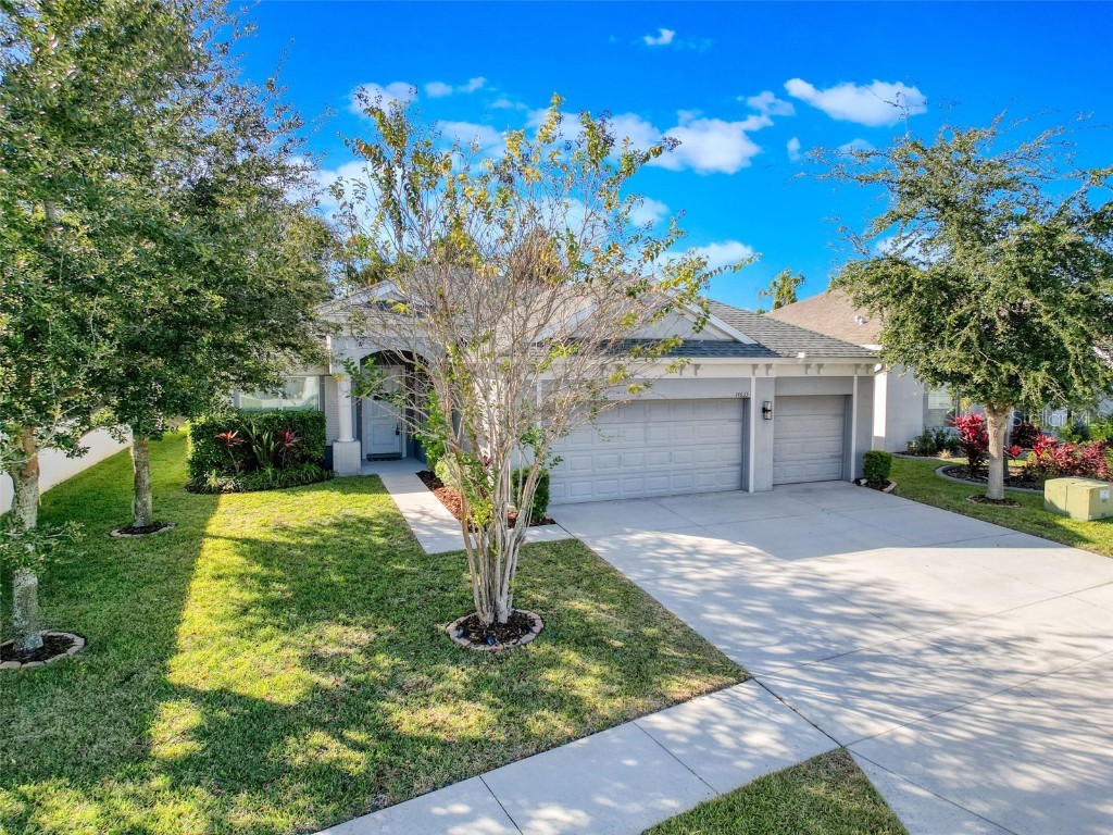14633 Strathglass Drive Hudson FL 34667 W7880651 image1