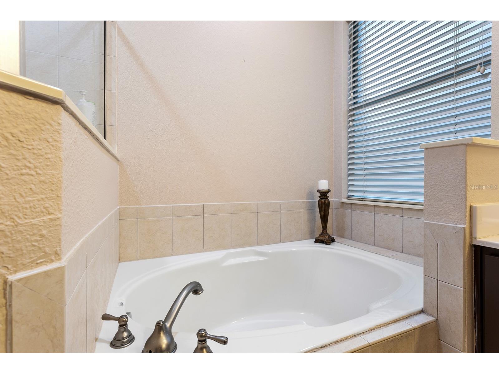 14633 Whittridge Drive Winter Garden FL 34787 - LAKE HANCOCK AND LAKE SPEER O6379535 image20