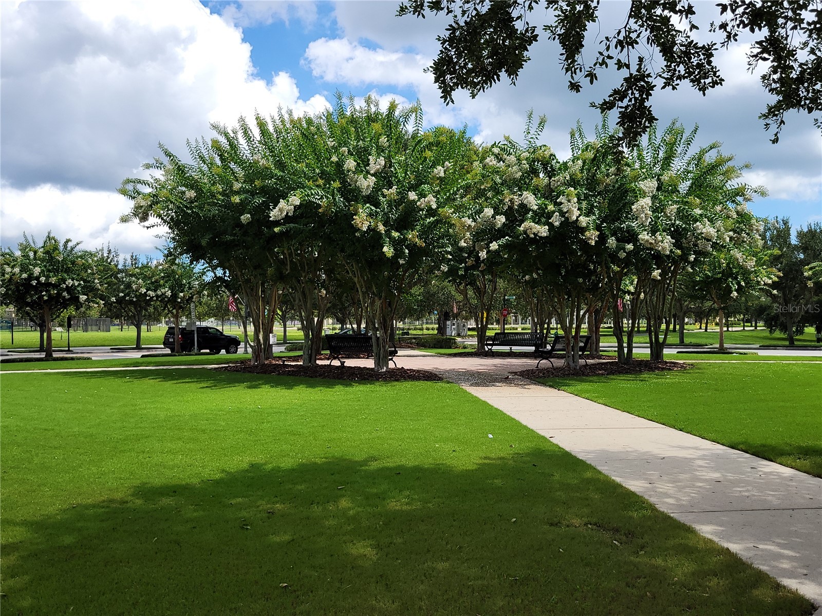 14633 Whittridge Drive Winter Garden FL 34787 - LAKE HANCOCK AND LAKE SPEER O6379535 image57