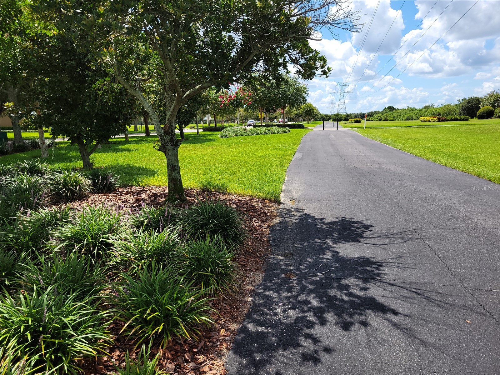 14633 Whittridge Drive Winter Garden FL 34787 - LAKE HANCOCK AND LAKE SPEER O6379535 image74