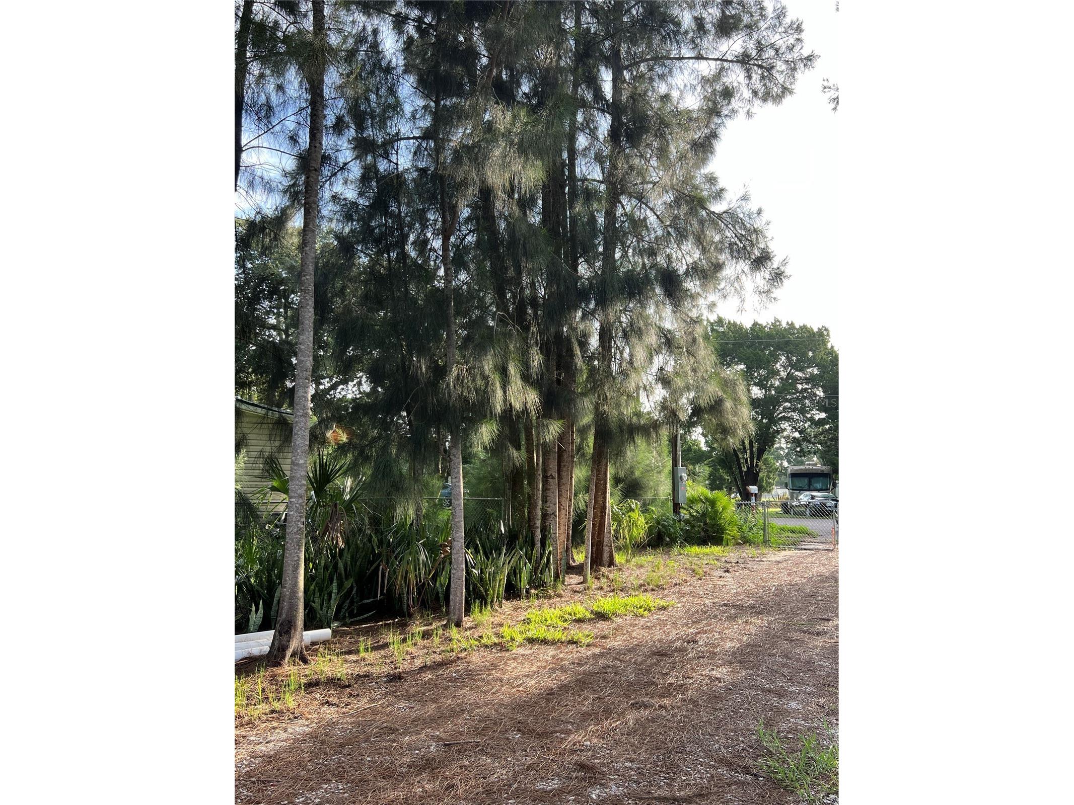 14633 Williams Lane Hudson FL 34667 TB8458136 image14