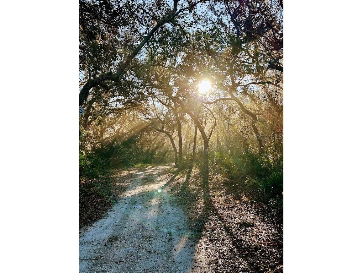 14635 Dupree Road Wimauma FL 33598 TB8527164 image31
