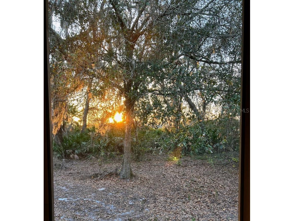 14635 Dupree Road Wimauma FL 33598 TB8527164 image33
