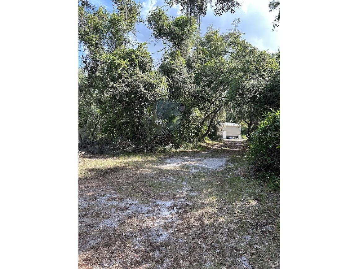 14635 Dupree Road Wimauma FL 33598 TB8527164 image37