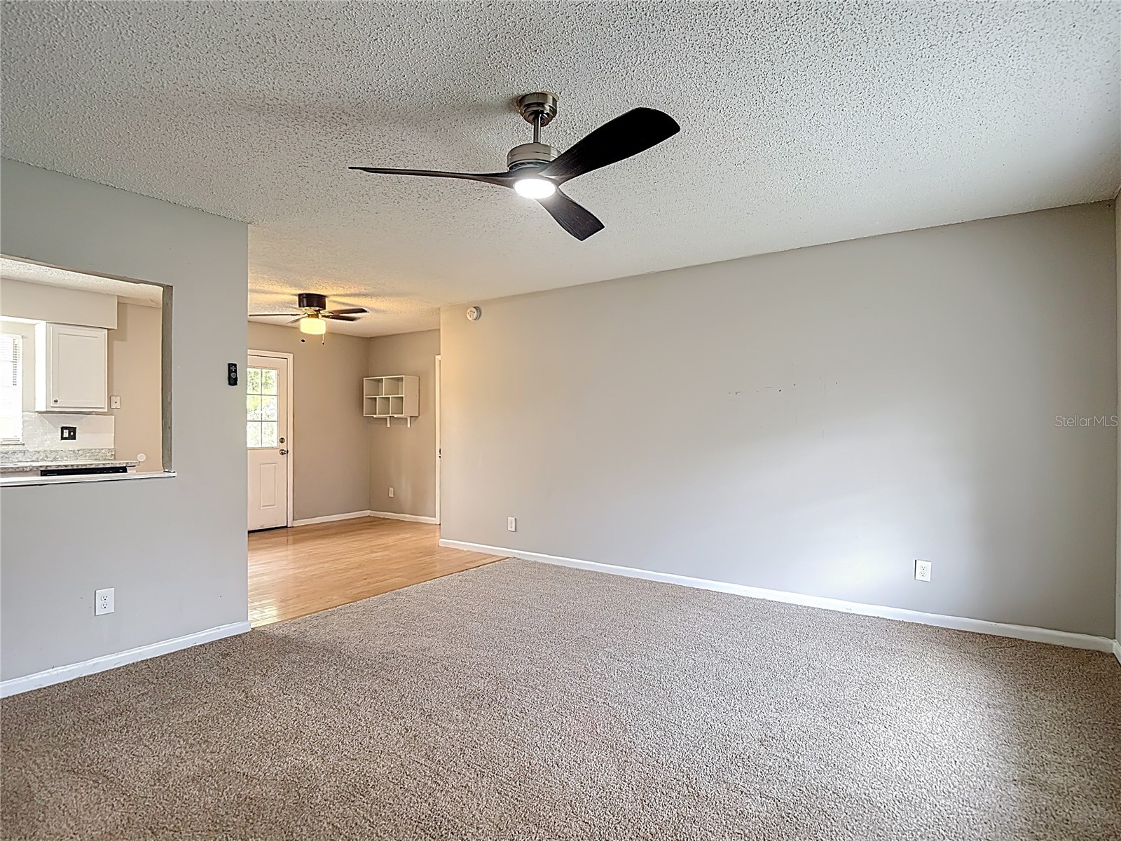 14635 State Street Dade City FL 33523 C7520235 image3