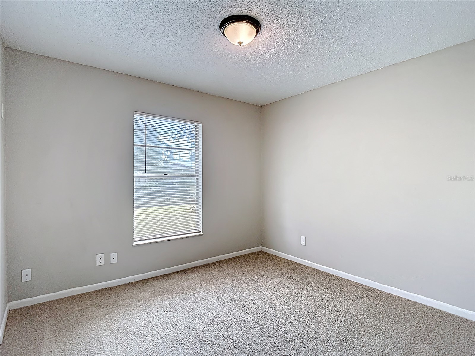 14635 State Street Dade City FL 33523 C7520235 image8