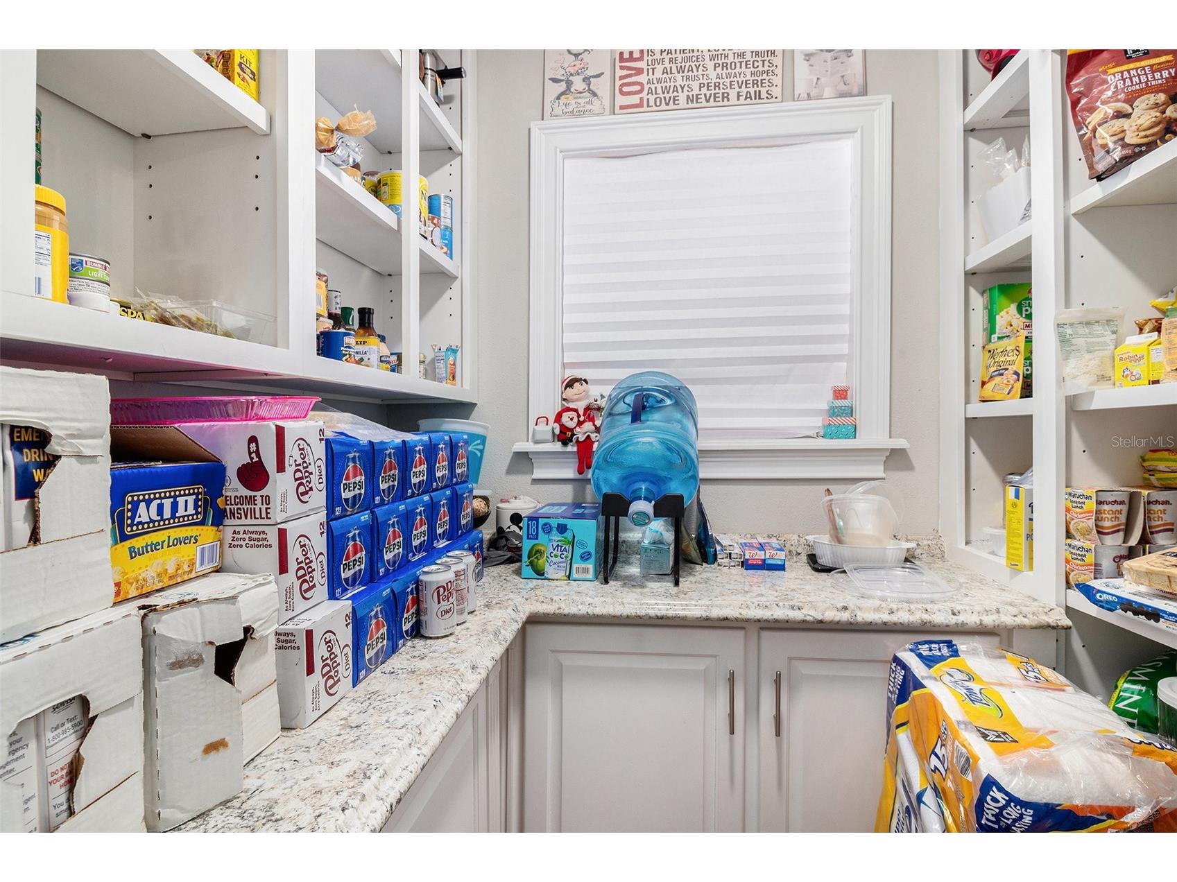 14636 Bray Road Orlando FL 32832 O6372515 image14