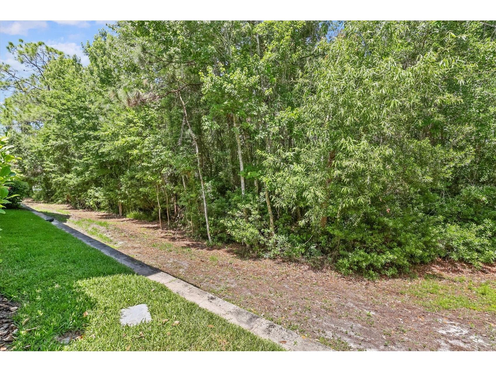 14637 Mirabelle Vista Circle Tampa FL 33626 TB8501539 image28