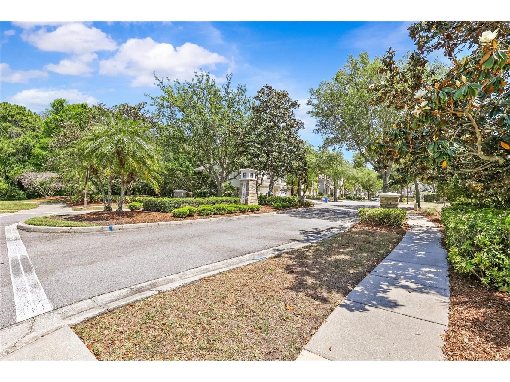 14637 Mirabelle Vista Circle Tampa FL 33626 TB8501539 image29