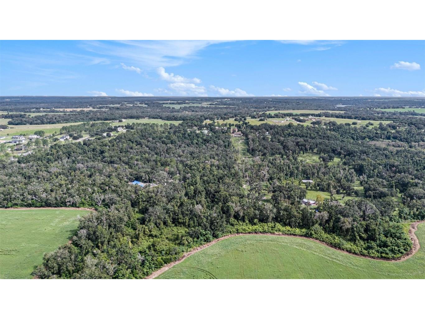 14638 Treeleaf Lane Dade City FL 33525 TB8427356 image8