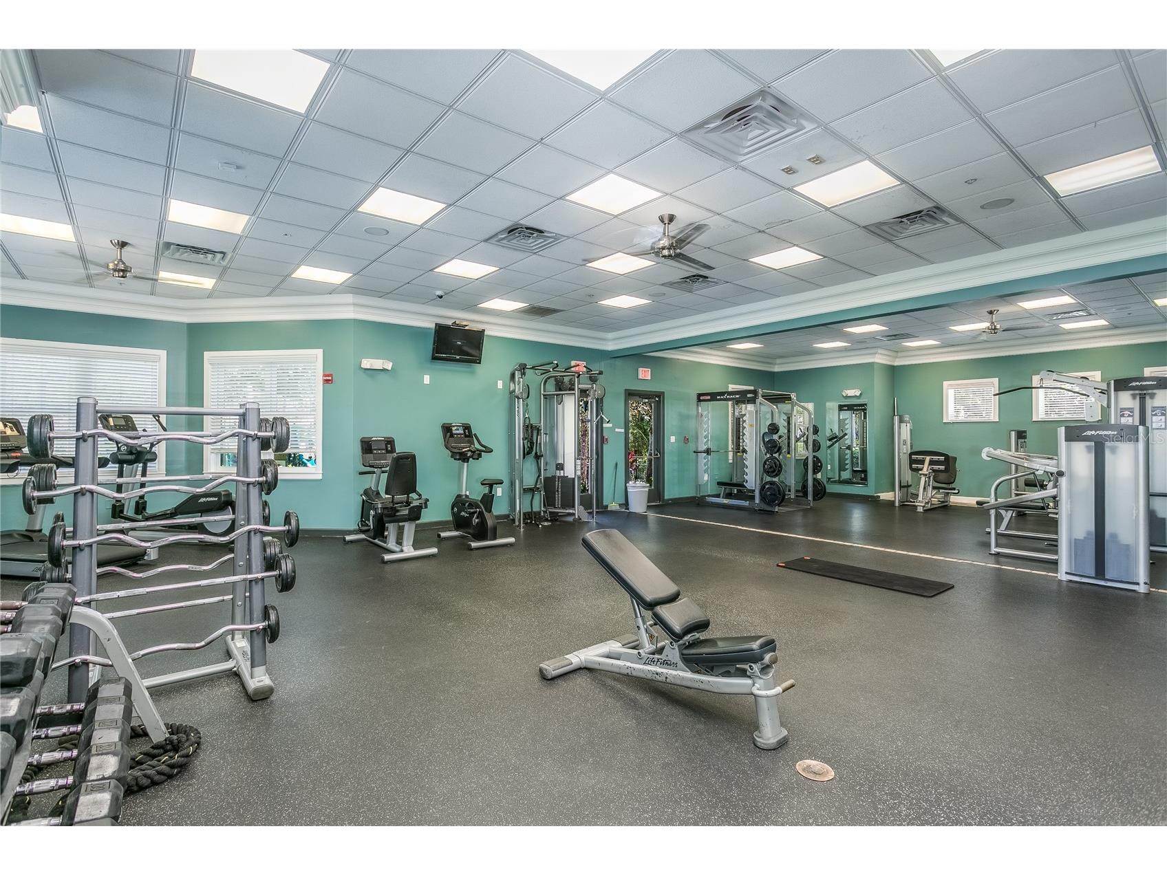14639 Chatsworth Manor Circle Tampa FL 33626 TB8495433 image43
