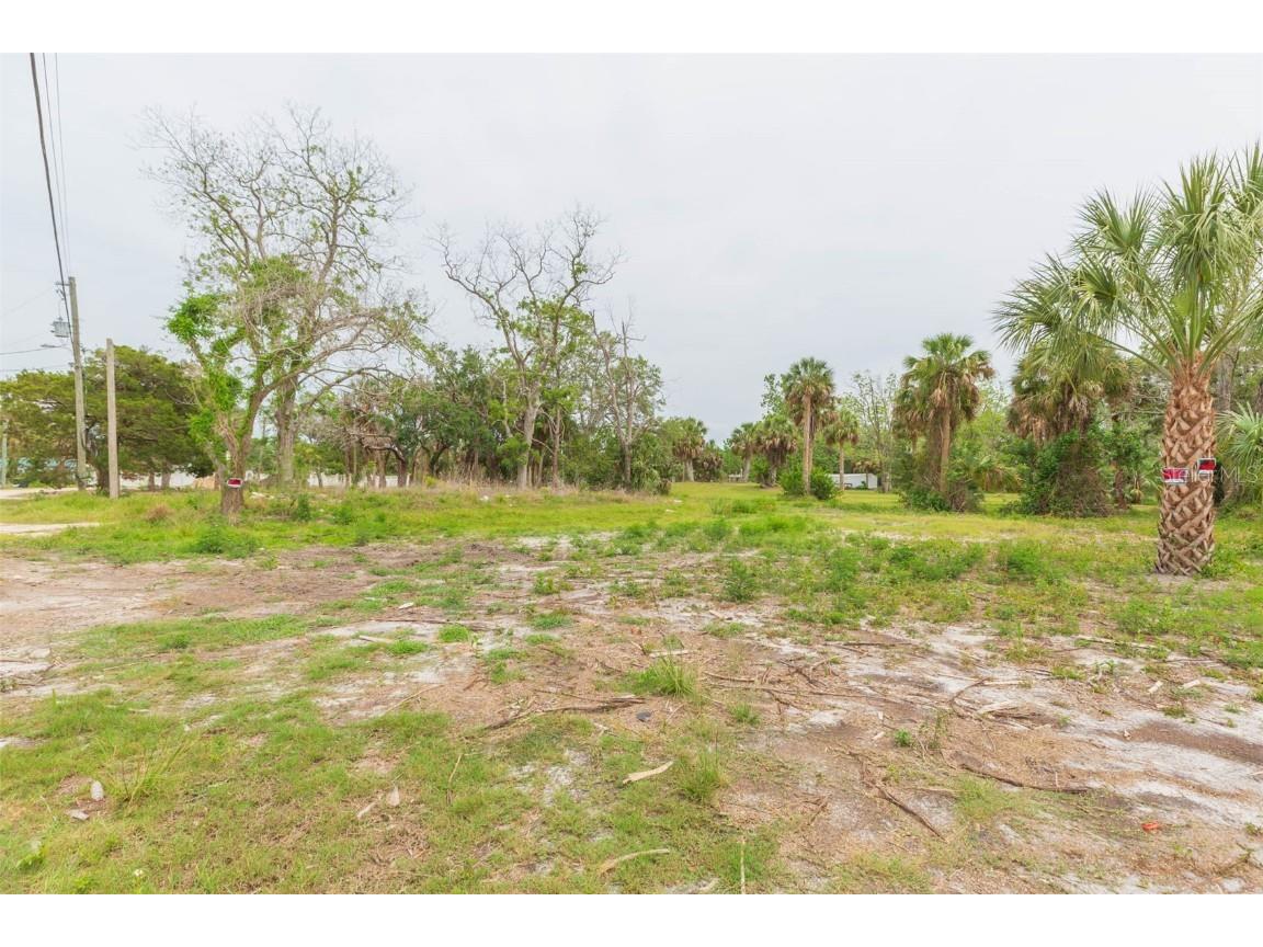 14639 Conner Drive Hudson FL 34667 TB8384872 image1