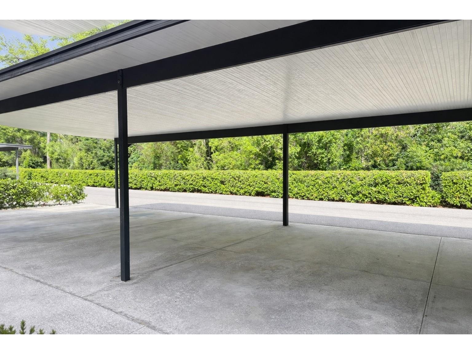 14639 Par Club Circle Tampa FL 33618 TB8496863 image14