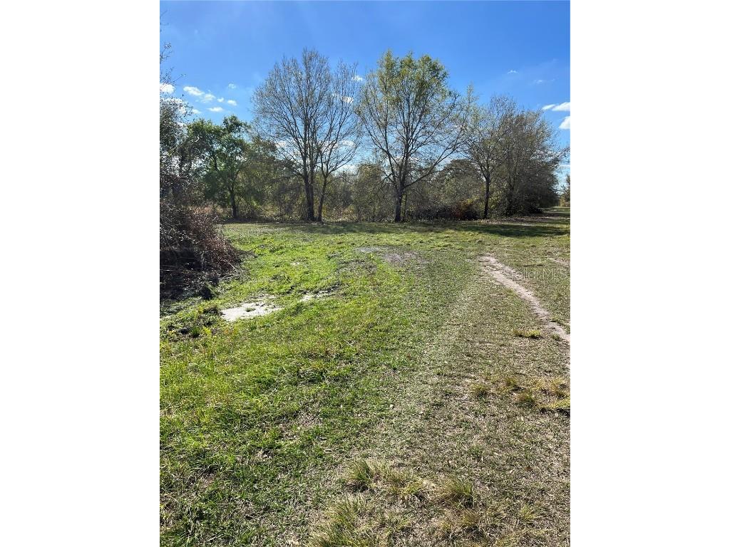 1464 Davidson Road Avon Park FL 33825 U8192423 image1