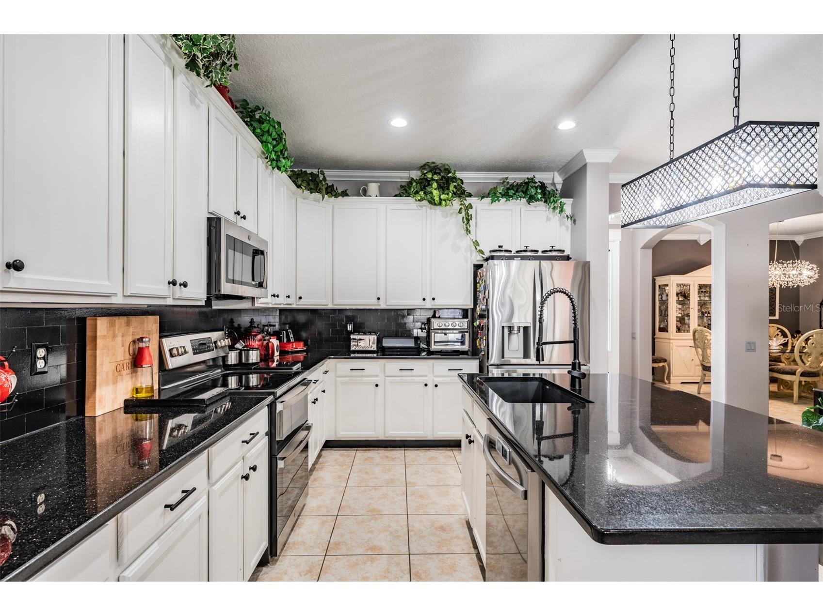14640 Balloch Drive Hudson FL 34667 TB8493407 image12