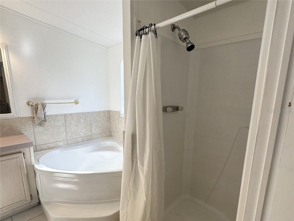 14640 NE 149th Lane Fort Mc Coy FL 32134 OM715157 image12
