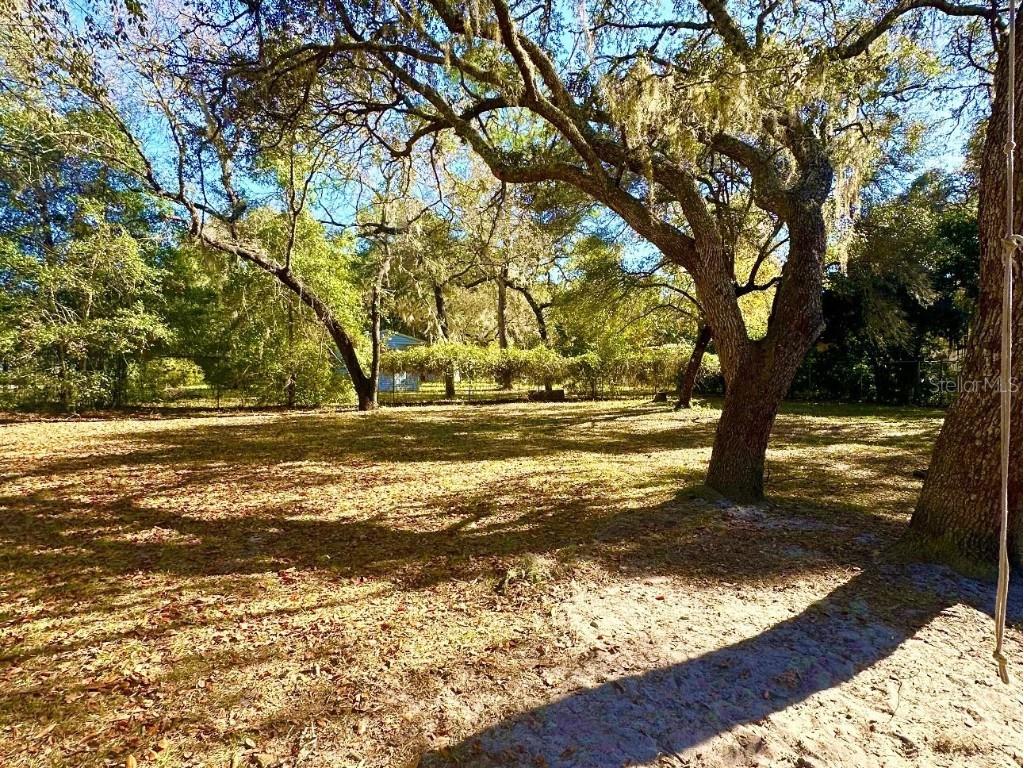 14640 NE 149th Lane Fort Mc Coy FL 32134 OM715157 image22