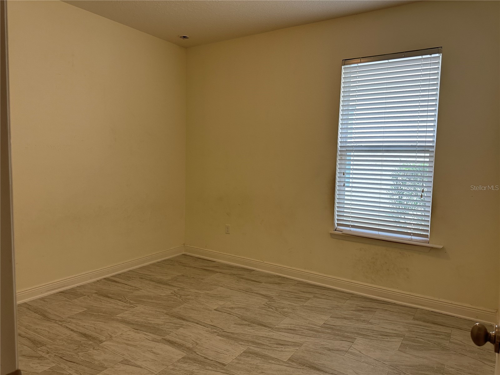 14640 Spotted Sandpiper Boulevard Winter Garden FL 34787 O6406661 image13