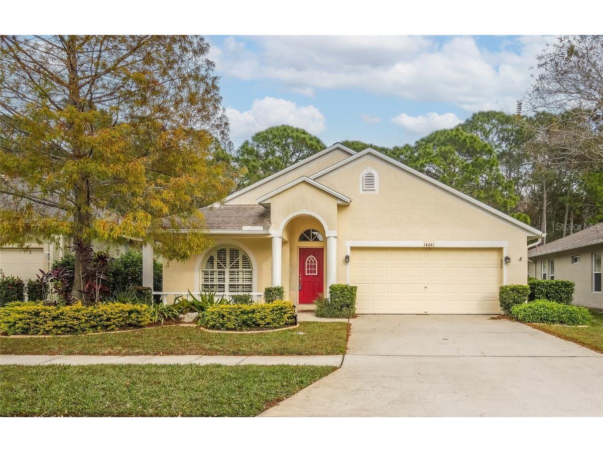 14641 Corkwood Drive Tampa FL 33626 T3498383 image1