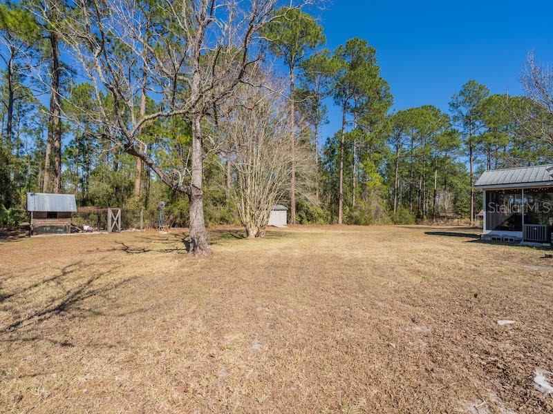 14641 NE 154th Street Fort Mc Coy FL 32134 OM717796 image34