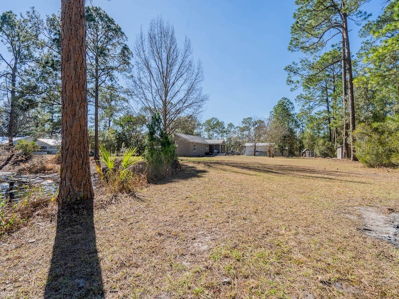 14641 NE 154th Street Fort Mc Coy FL 32134 OM717796 image35