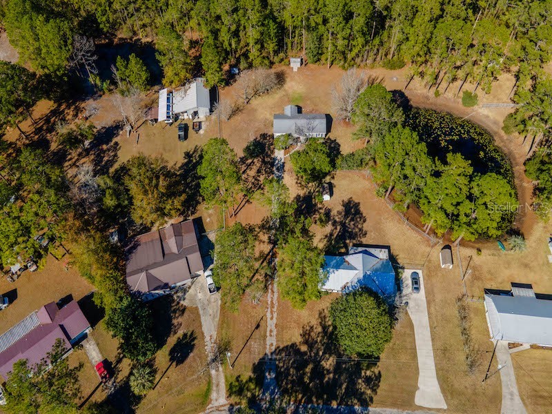 14641 NE 154th Street Fort Mc Coy FL 32134 OM717796 image40