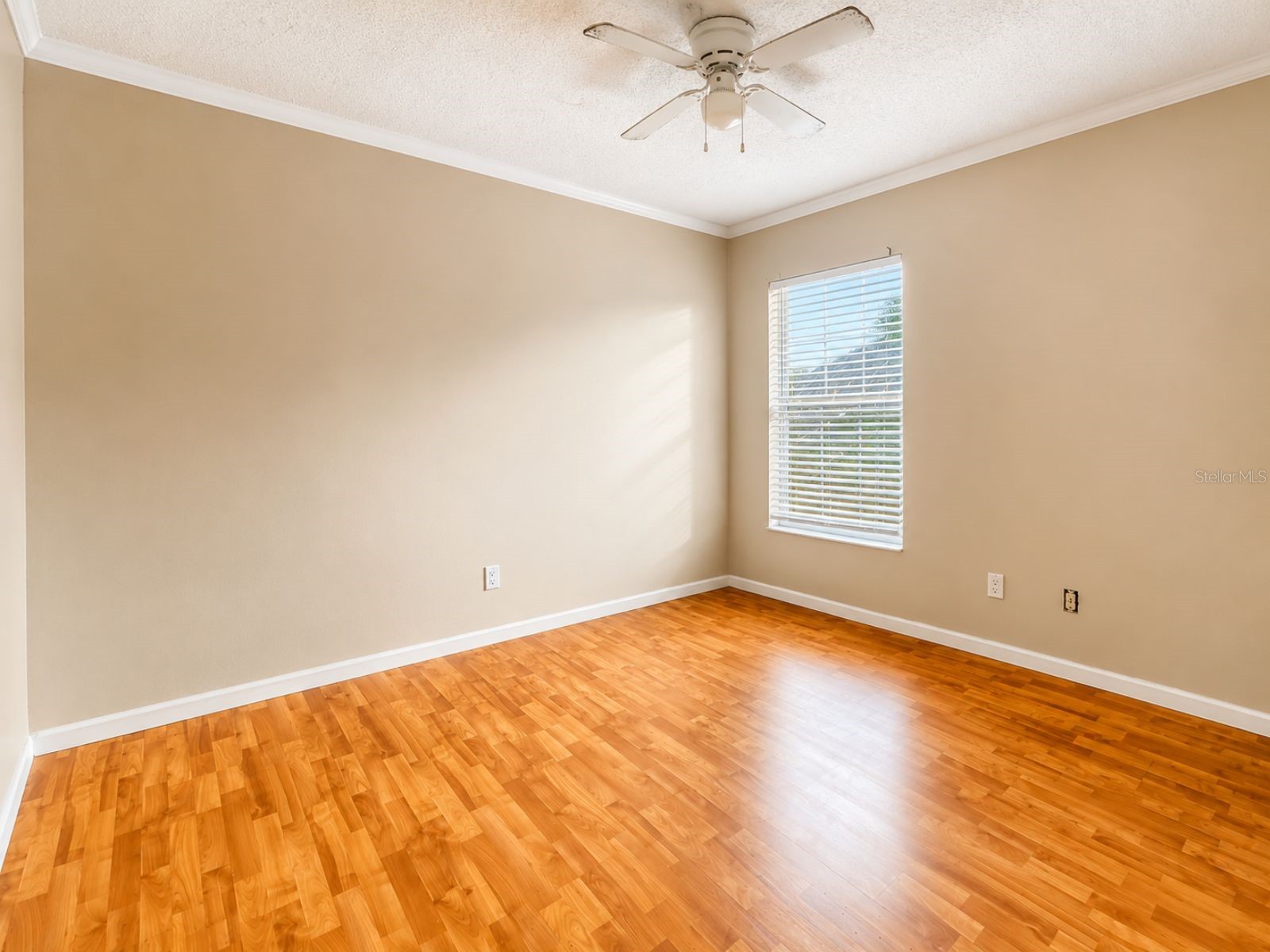 14641 Quail Trail Circle Orlando FL 32837 V4949369 image14