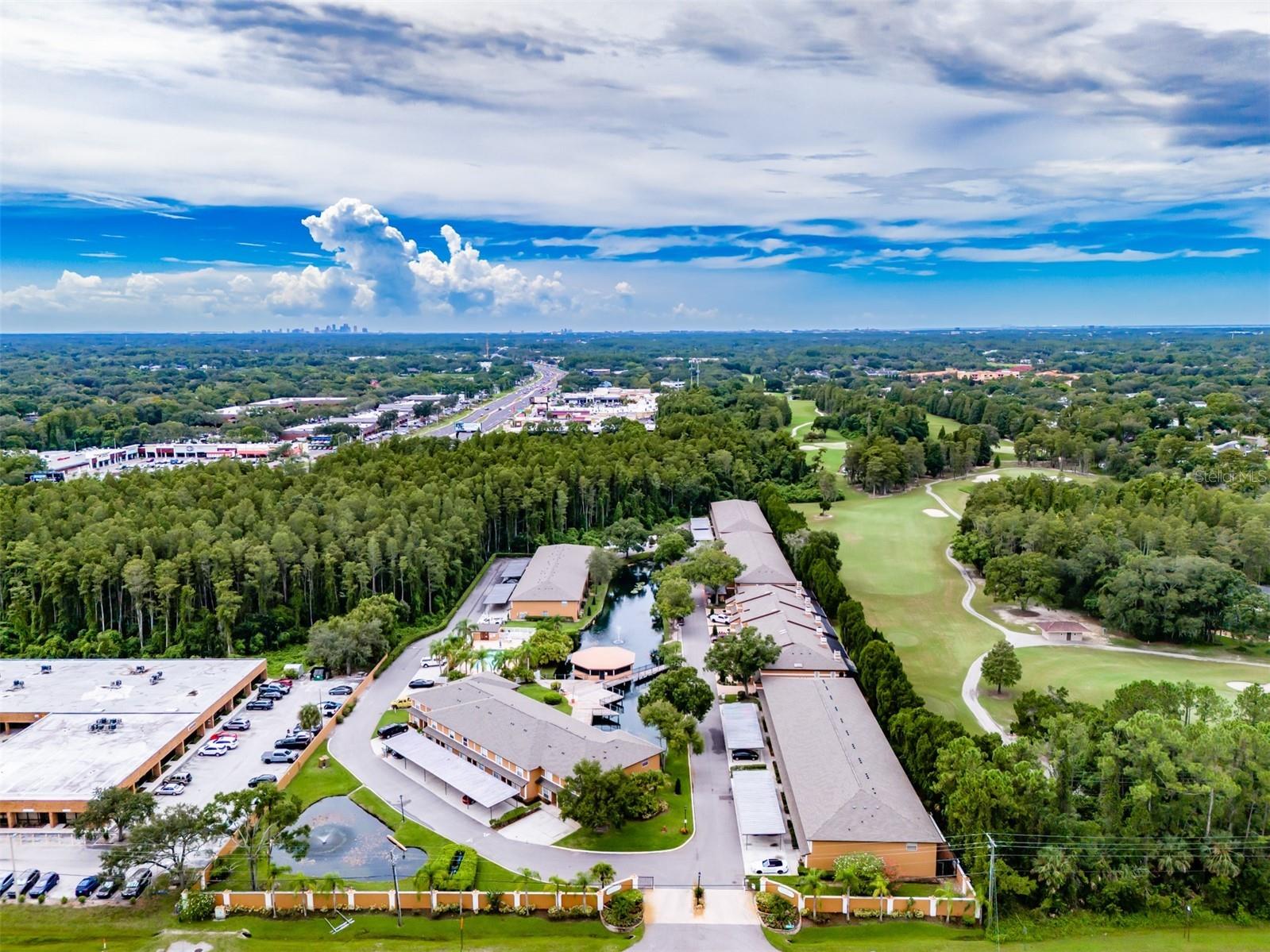 14643 Par Club Circle #14643 Tampa FL 33618 TB8497060 image49
