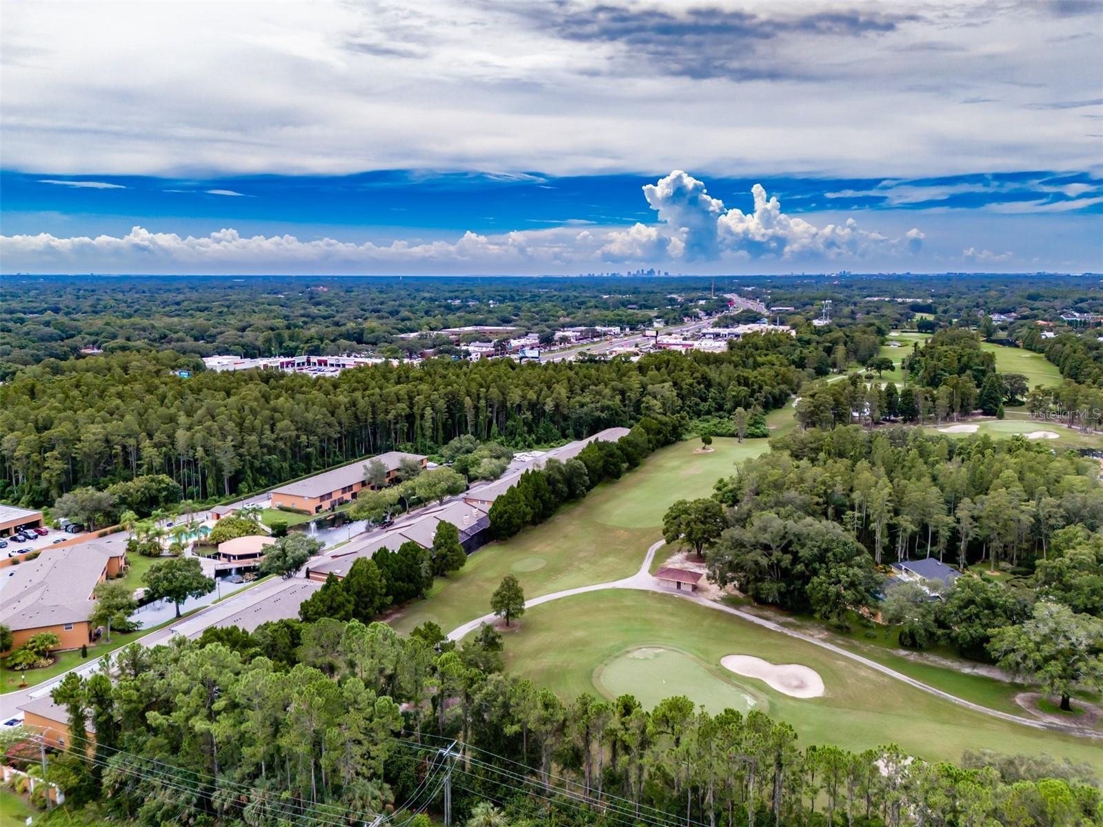 14643 Par Club Circle #14643 Tampa FL 33618 TB8497060 image54