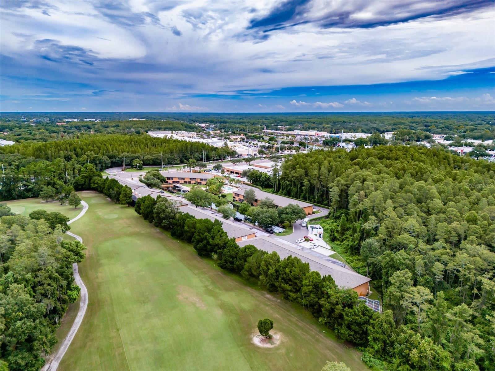 14643 Par Club Circle #14643 Tampa FL 33618 TB8497060 image55