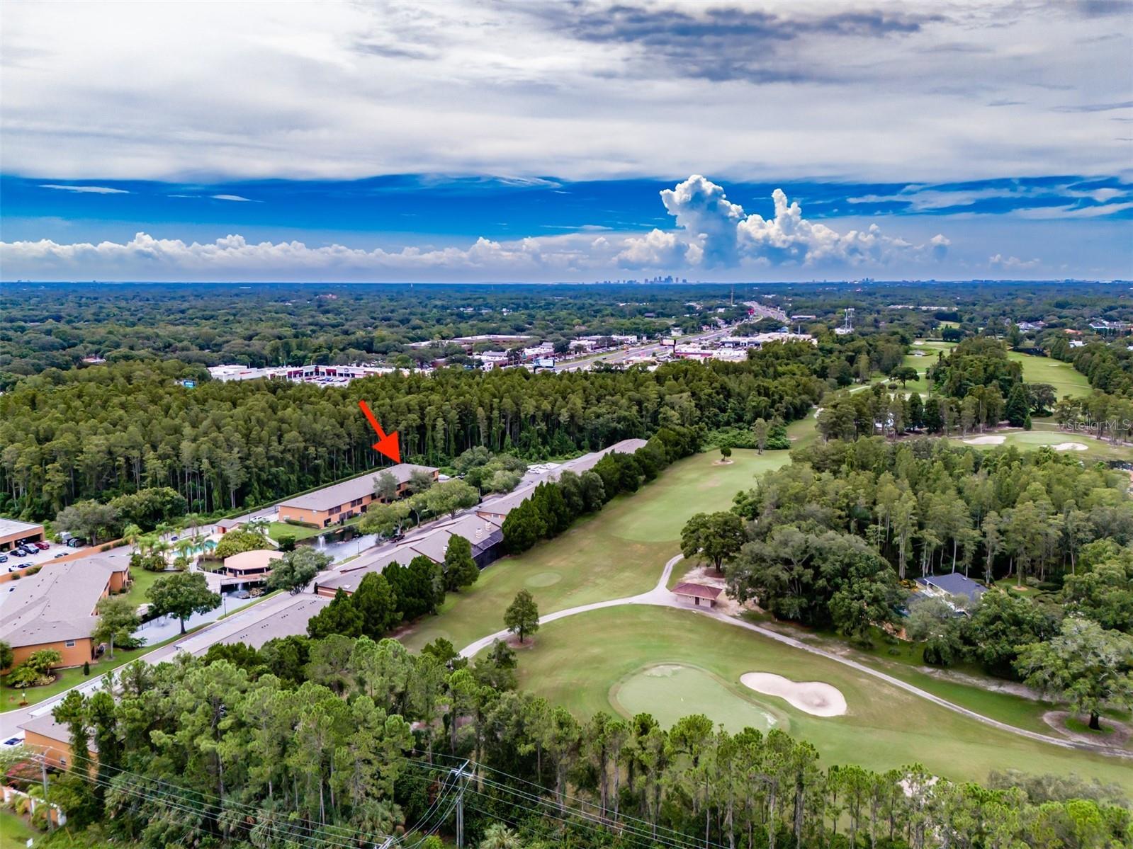 14643 Par Club Circle #14643 Tampa FL 33618 TB8497060 image57