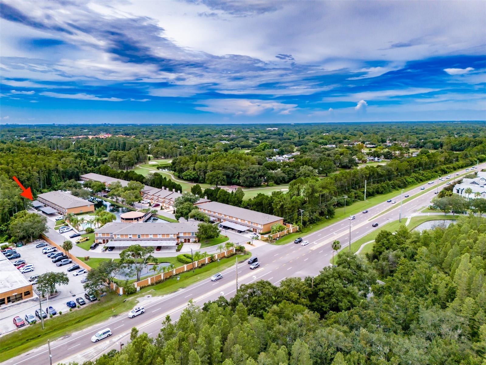 14643 Par Club Circle #14643 Tampa FL 33618 TB8497060 image59